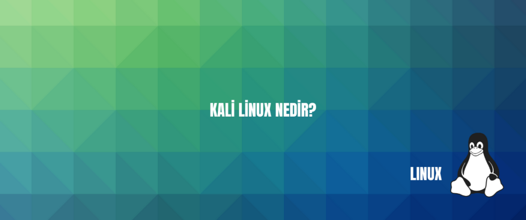 Kali Linux Nedir